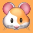 小蝌蚪APPAPP应用